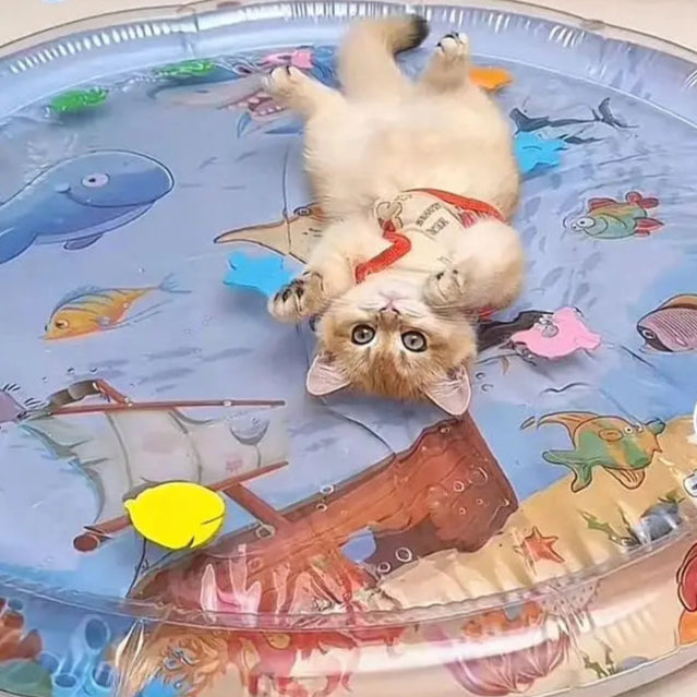 Splash Fun