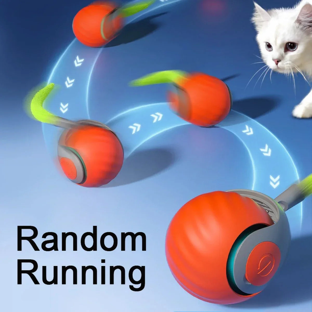 Speed Fun