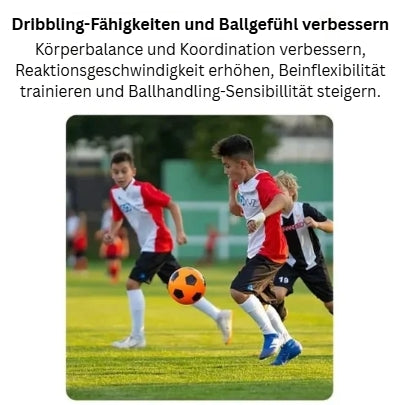 SkillMaster-Fußballtrainer
